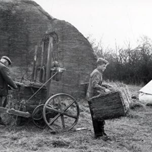 Hay tying - March 1940