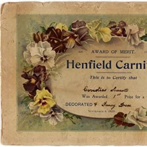 Henfield Carnival Award of Merit 1909