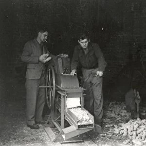 The "Hipo"Maize Sheller - March 1946