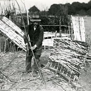 Hurdle maker at Up Waltham, Sussex, c1920s