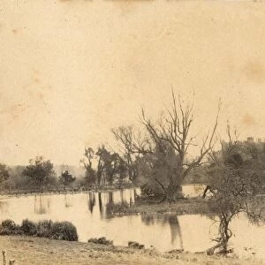 The lake at Arundel Park, 18 April 1892
