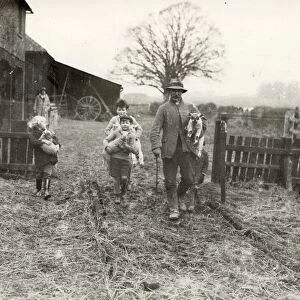 Lambing in Crosss Farm, Steyning, 1932