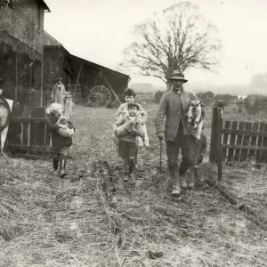 Lambing in Crosss Farm, Steyning, 1932