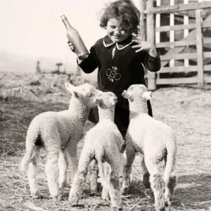Lambs at Key Fox, March 1933