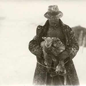 Lambs and shepherd in snow at Soames Farm, Petworth, 1932