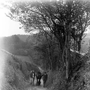 A man with two horses in a country lane near Bignor, 1934