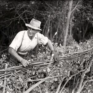 Man making a fence at West Grinstead Ploughing Match