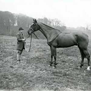 Man with stallion in field at Shillinglee, February 1938