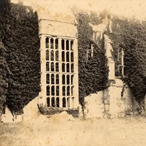 Midhurst: Buck Hall (Cowdray ruins), 24 June 1893