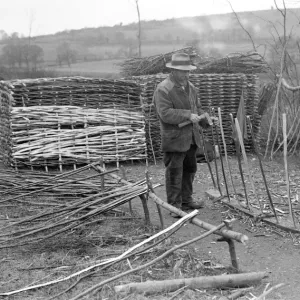 Mr Snow hurdle-making, April 1925