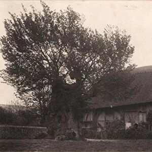 The Old Parsonage at Alfriston, 1908