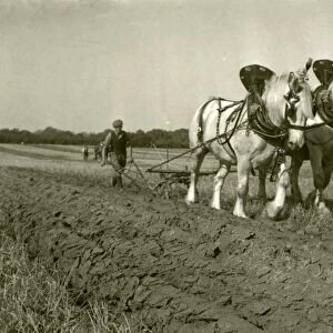 Petworth and District Ploughing Match - 2nd October 1948