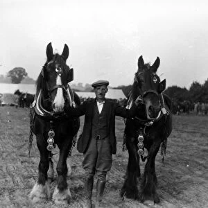 Petworth Ploughing Match, October 1937