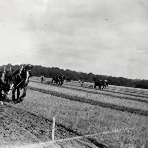Petworth Ploughing Match - October 1938