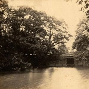 The mill pond at Barcombe, 26 July 1890