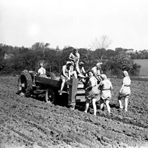 Potato planting at Todhurst, Kirdford with Land Girls, May 1943