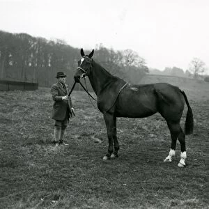 Rider with horse in a field at Shillinglee, February 1938