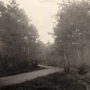 Road near Selham, 1907 Road near Selham, 1907