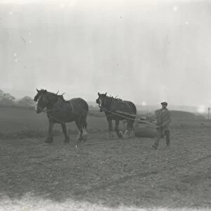 Rolling Spring corn at Soanes Farm Petworth, April 1934