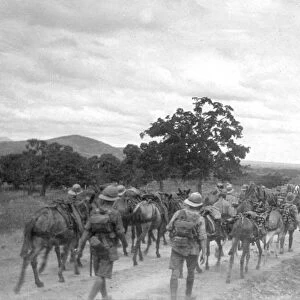 RSR 2 / 6th Battalion, 6th Royal Sussex on the March, India 1916
