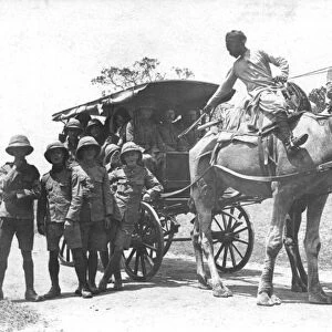 RSR 2 / 6th Battalion, Camel waggon, Mysore 1916