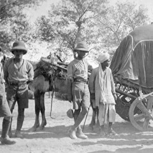 RSR 2 / 6th Battalion, Indian Ladys Purdah Cart