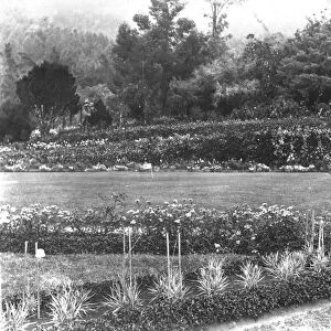 RSR 2 / 6th Battalion, Surianalle, Travancore, view of Leslies garden and grounds