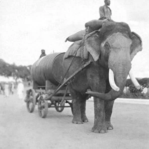 RSR 2 / 6th Battalion, Water cart, Palace grounds, Mysore
