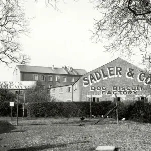 Print of Sadler & Co. Chichester dog biscuit factory, 1935 Print of Sadler & Co. Chichester dog biscuit factory, 1935