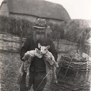 Shepherd at Angmering holding two lambs, February 1934
