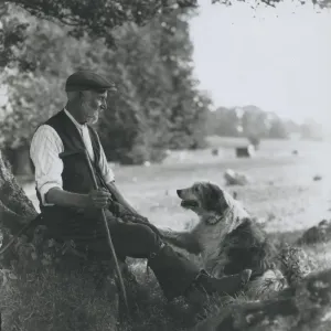 A shepherd of Goodwood, with crook and sheepdog July 1933 A shepherd of Goodwood, with crook and sheepdog July 1933