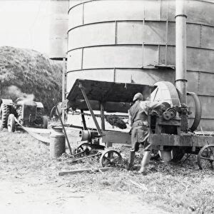Silo filling with Maize - September 1939