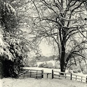 Snow Scene near Petworth - January 1942