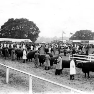 Sussex County Show at Chichester, June 1933