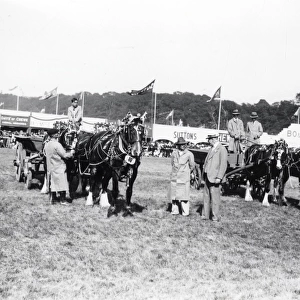 Sussex Show - June 1938
