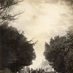 A team of horses pulling a cart up a street in Winchelsea, 6 November 1890