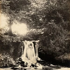 A waterfall in Fittleworth, 30 July 1893