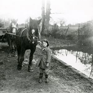 Young girl guiding horses and cart, February 1938
