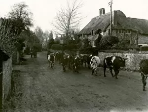 Images Dated 9th July 2015: Amberley - December 1948