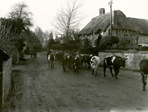Amberley – December 1948 Amberley – December 1948