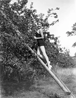 Apple picking at Marshalls Farm