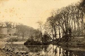 Country Side Prints: Arundel Park, 18 April 1892
