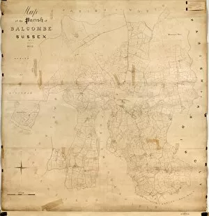 Tithe Award Maps, 1808-1859 Collection: Balcombe Tithe Map, 1842