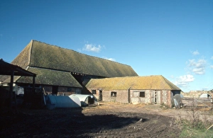 Barn Prints: Barns at Castle Farm, Amberley, West Sussex