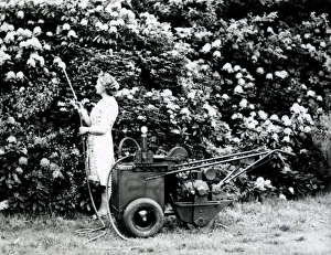 Blackers Developments, Coates, Sussex - about 1948