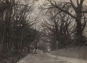 Images Dated 12th December 2012: Bognor: road leading to Bersted Lodges gates, 1898