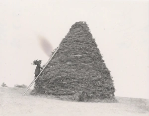 Smoke Prints: Bonfire on Bury Hill [1929]