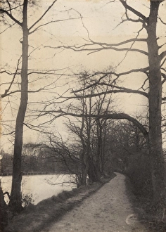 John Fletcher Collection - 'Wanderings In Sussex' Prints: Three Bridges: Path to the Mill, 1906