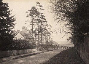 Brightling: Street view, 1908
