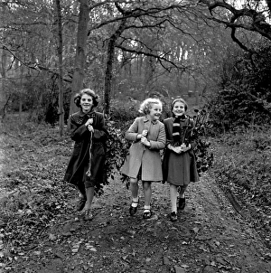 Happy Prints: Bringing home the holly at Hill Grove, Sussex